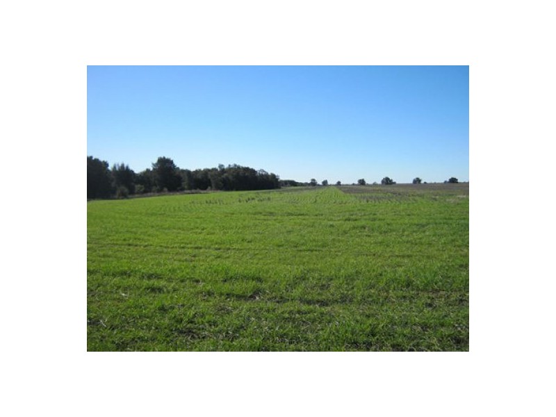 “Greenvale”, Gurley NSW 2398