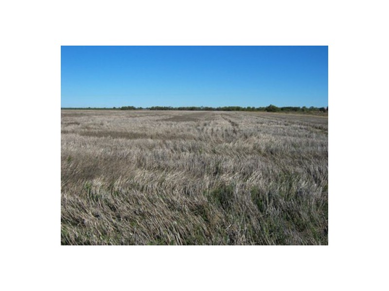 “Greenvale”, Gurley NSW 2398