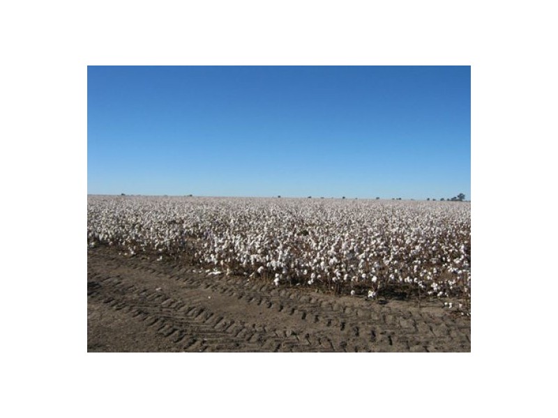 “Greenvale”, Gurley NSW 2398