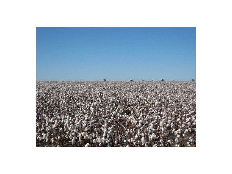 “Greenvale”, Gurley NSW 2398