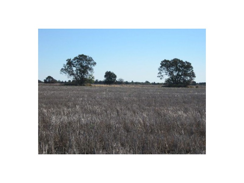 “Greenvale”, Gurley NSW 2398