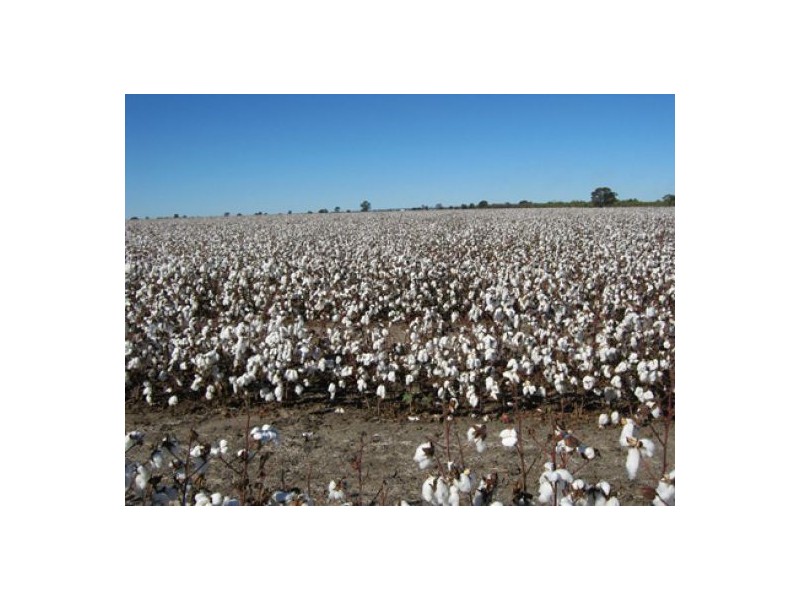 “Greenvale”, Gurley NSW 2398