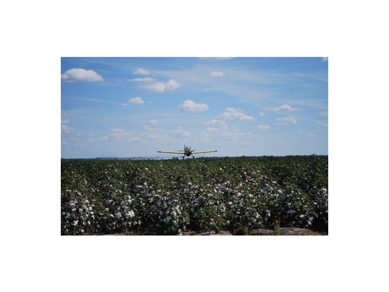 “Tundunna”, Mungindi NSW 2406