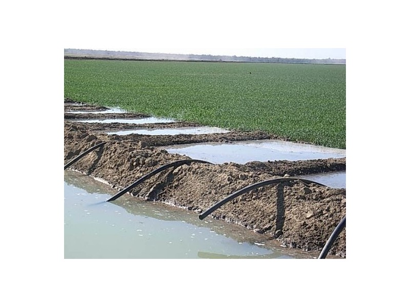 “Tundunna”, Mungindi NSW 2406