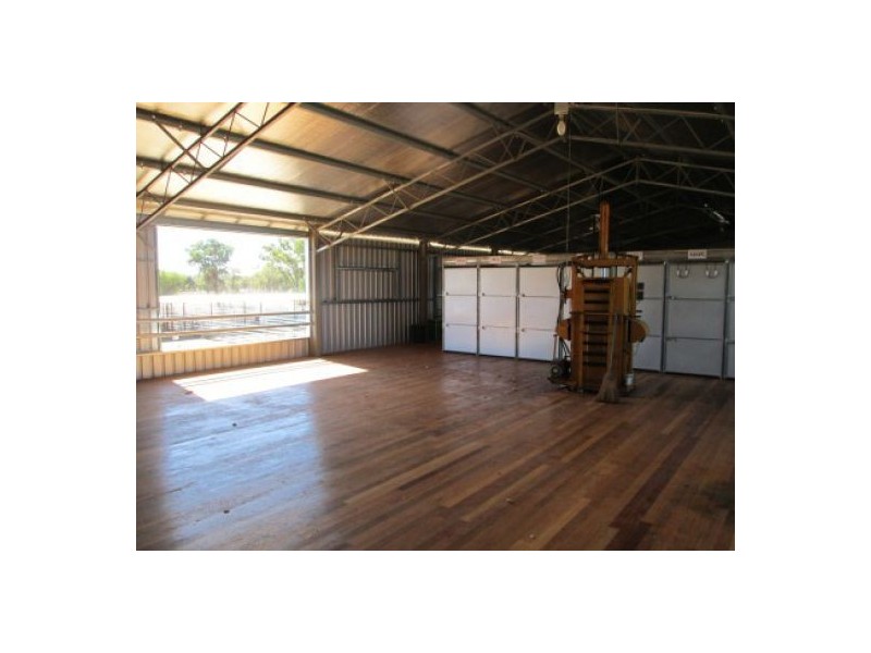 “Minnamurra” & “Calgary”, Collarenebri NSW 2833