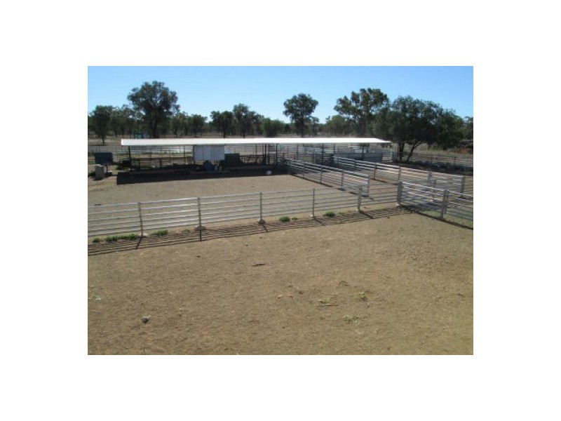 “Minnamurra” & “Calgary”, Collarenebri NSW 2833