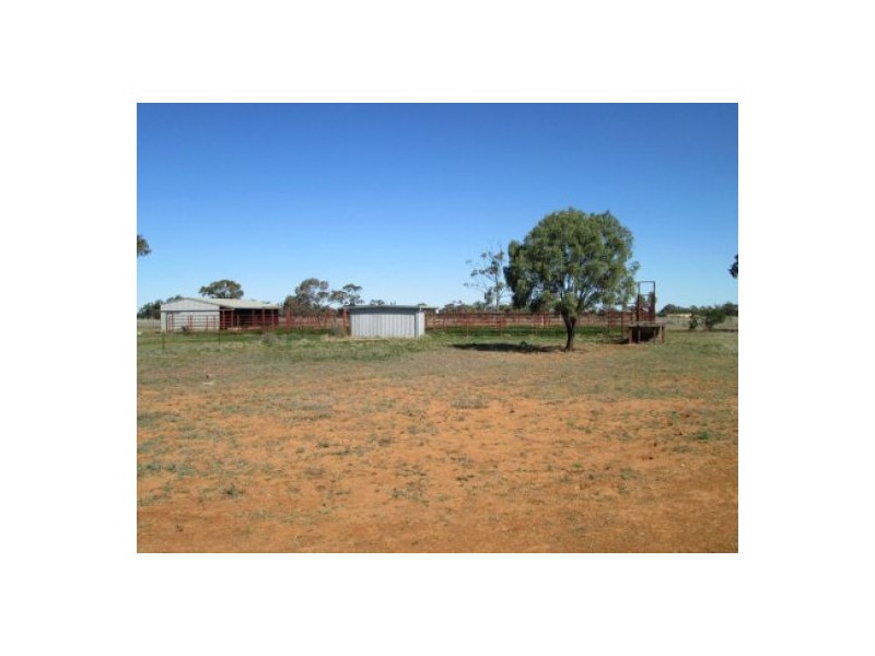 “Minnamurra” & “Calgary”, Collarenebri NSW 2833