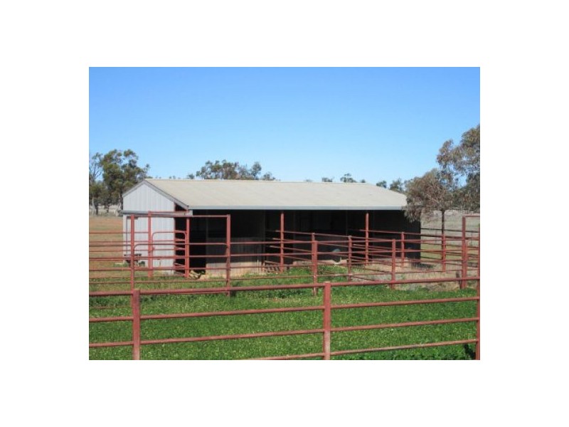 “Minnamurra” & “Calgary”, Collarenebri NSW 2833