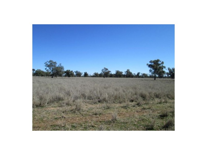 “Minnamurra” & “Calgary”, Collarenebri NSW 2833