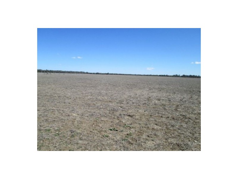 “Minnamurra” & “Calgary”, Collarenebri NSW 2833