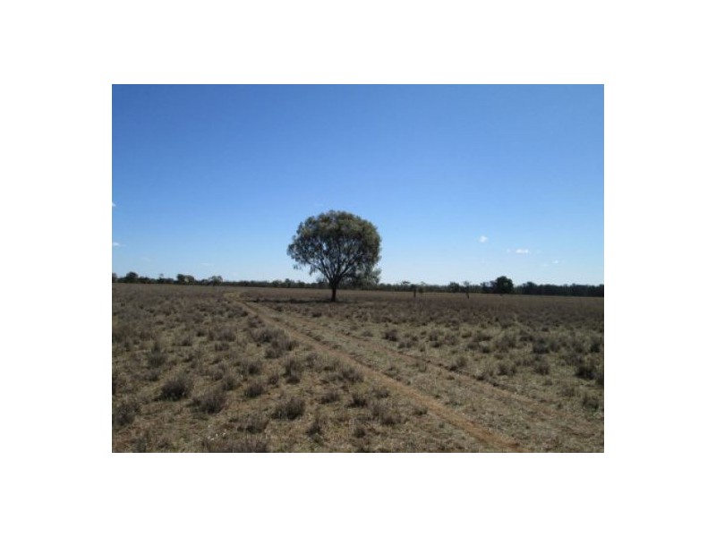 “Minnamurra” & “Calgary”, Collarenebri NSW 2833