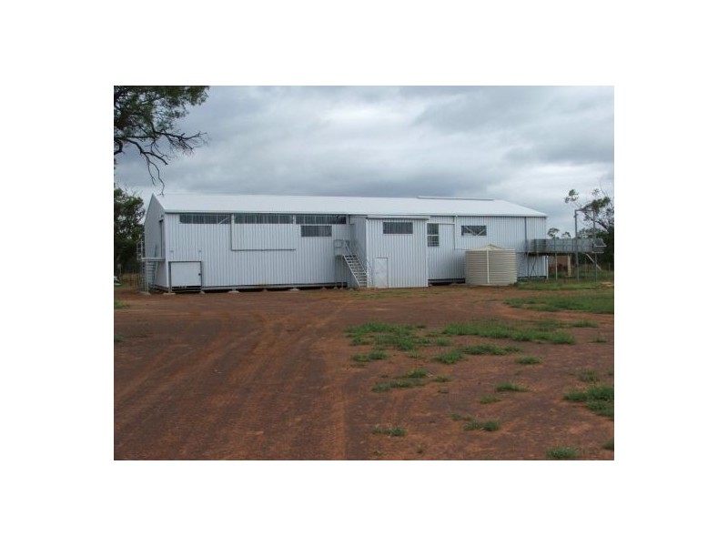 “Minnamurra” & “Calgary”, Collarenebri NSW 2833