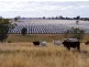“Aramac”, Warialda NSW 2402