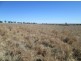 “Aramac”, Warialda NSW 2402