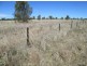 “Aramac”, Warialda NSW 2402