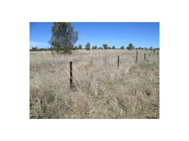 “Aramac”, Warialda NSW 2402