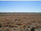 “Aramac”, Warialda NSW 2402