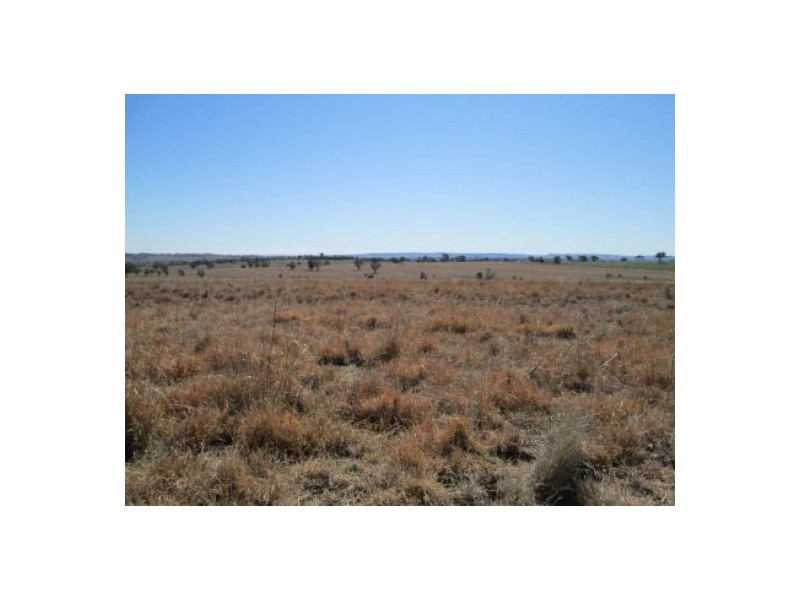 “Aramac”, Warialda NSW 2402