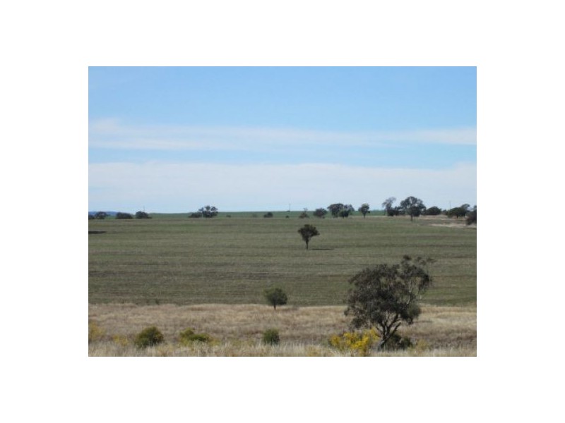 “Aramac”, Warialda NSW 2402