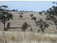 “Aramac”, Warialda NSW 2402