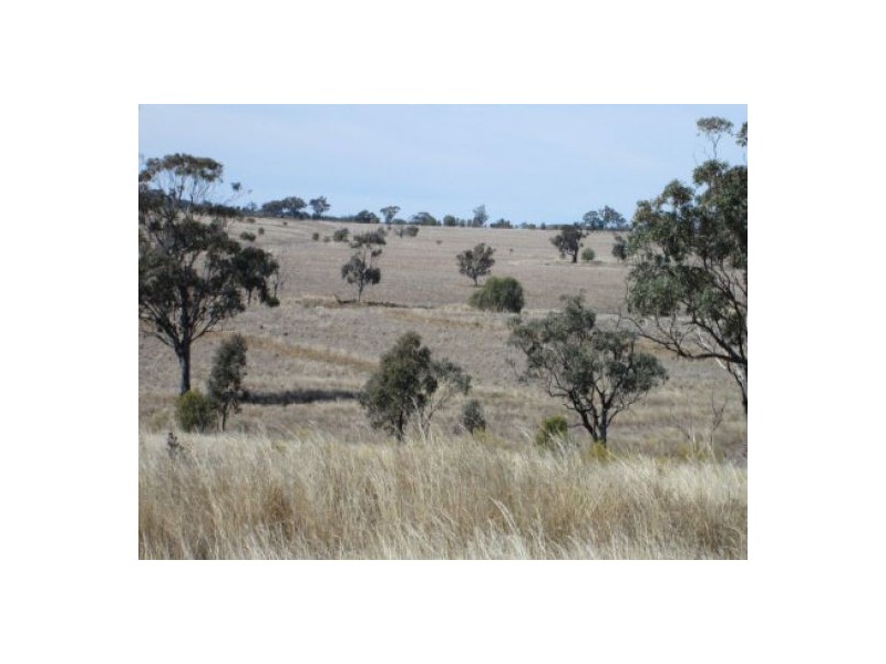 “Aramac”, Warialda NSW 2402