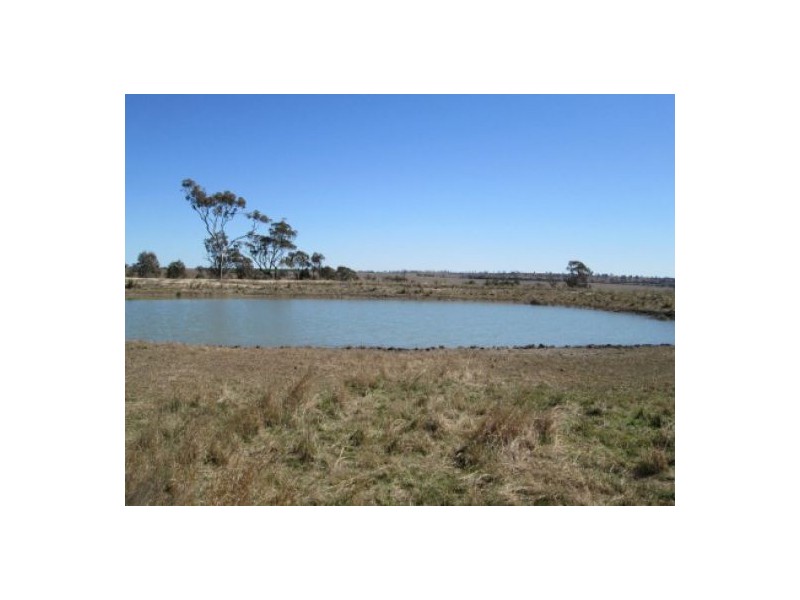 “Aramac”, Warialda NSW 2402