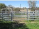 “Aramac”, Warialda NSW 2402
