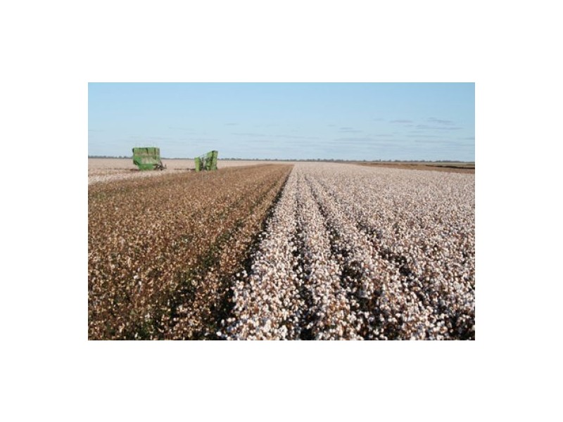 “Darling Farms”, Bourke NSW 2840