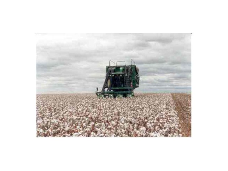 “Darling Farms”, Bourke NSW 2840