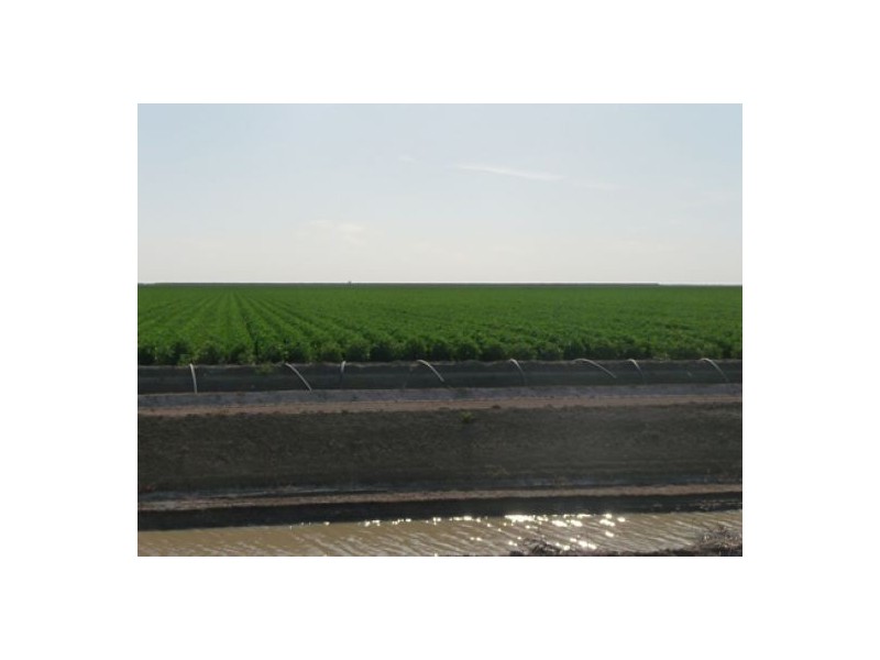 “Darling Farms”, Bourke NSW 2840