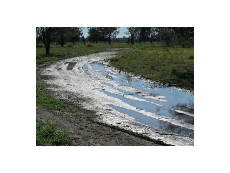 “Kelvington”, Mungindi NSW 2406