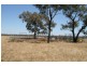 “Kelvington”, Mungindi NSW 2406
