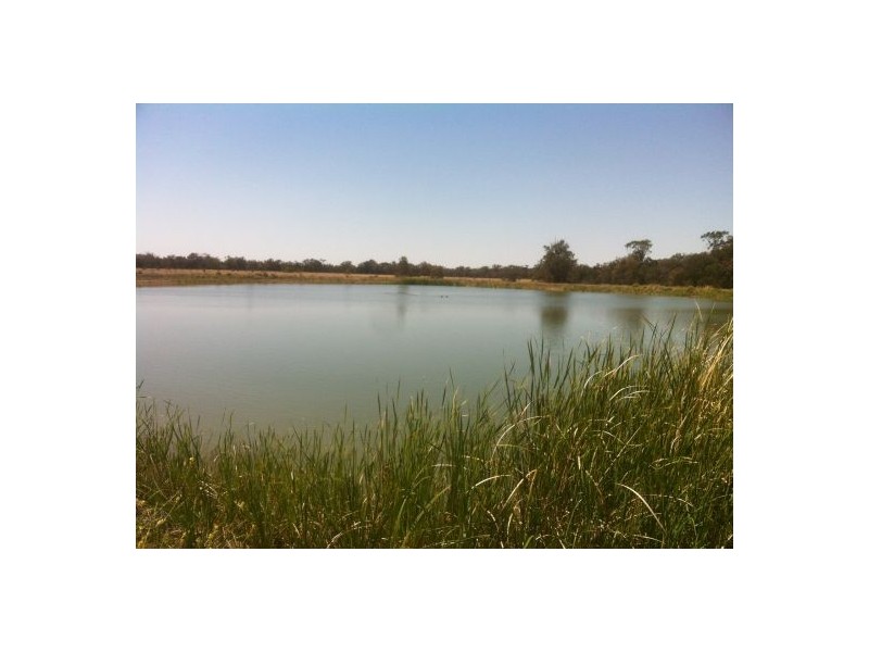 “Kelvington”, Mungindi NSW 2406