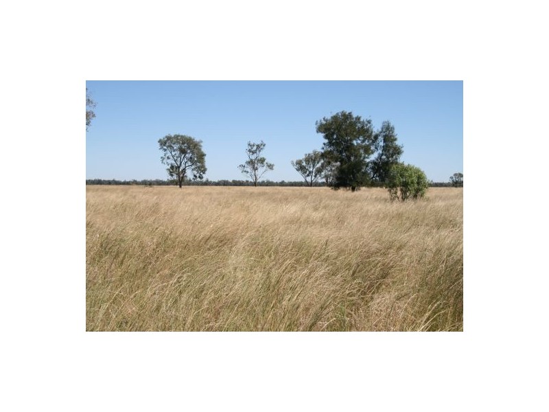 “Kelvington”, Mungindi NSW 2406