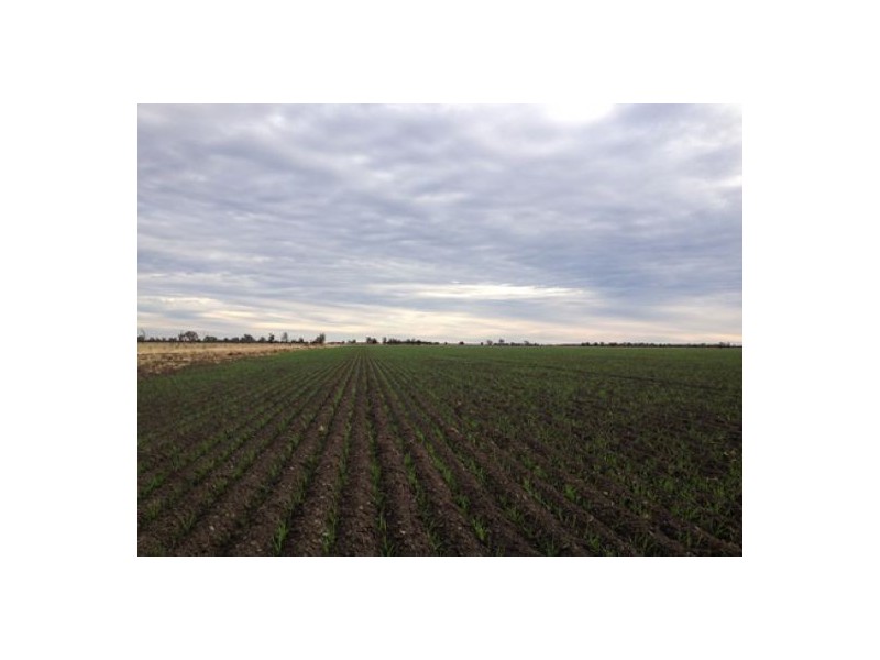 “Kelvington”, Mungindi NSW 2406