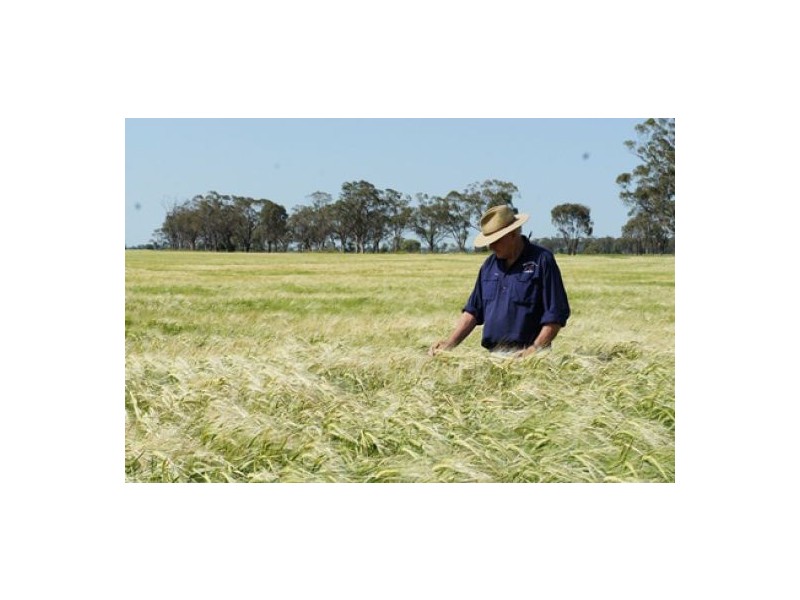 “Welcannah”, Moree NSW 2400