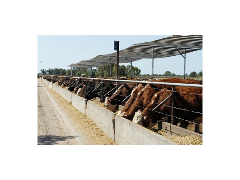 “Welcannah”, Moree NSW 2400