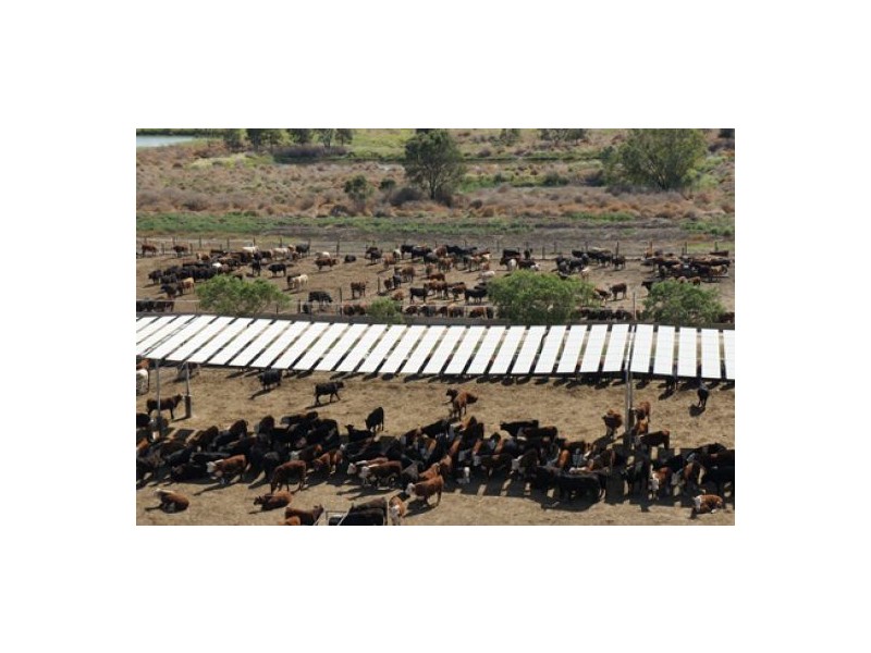 “Welcannah”, Moree NSW 2400