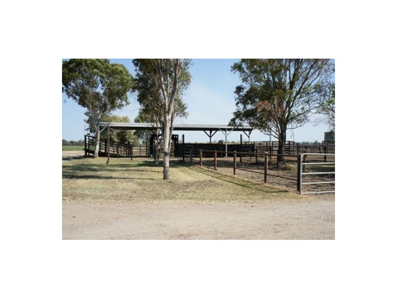“Welcannah”, Moree NSW 2400