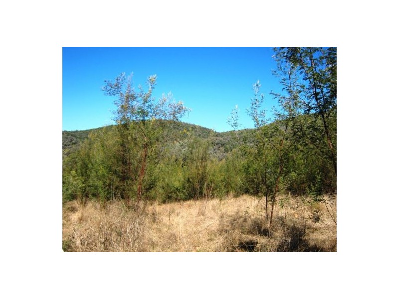 “Burke Park”, Bingara NSW 2404