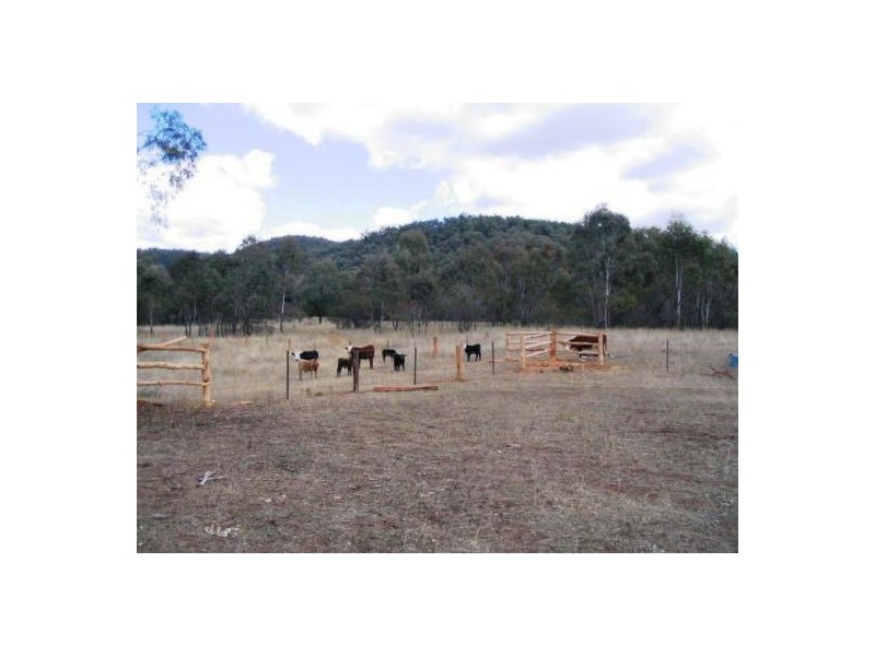 “Burke Park”, Bingara NSW 2404