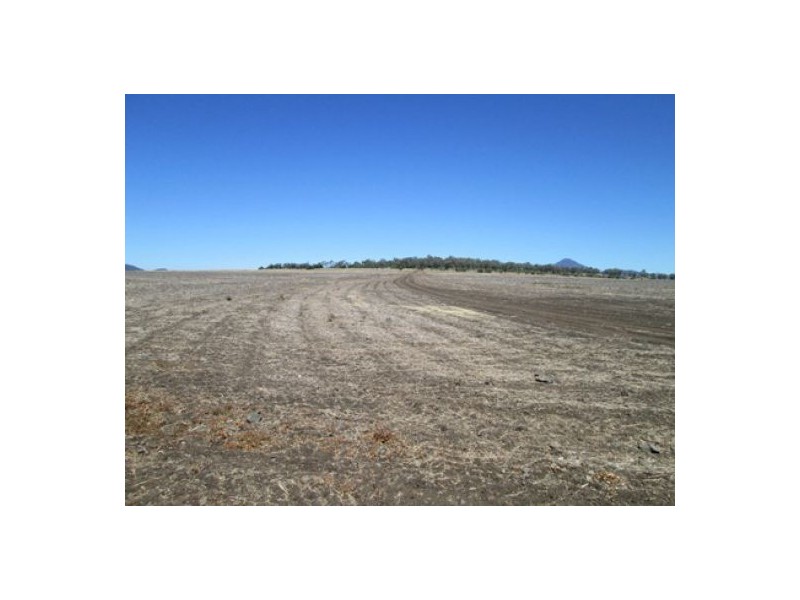 “Blue Poles”, Bellata NSW 2397