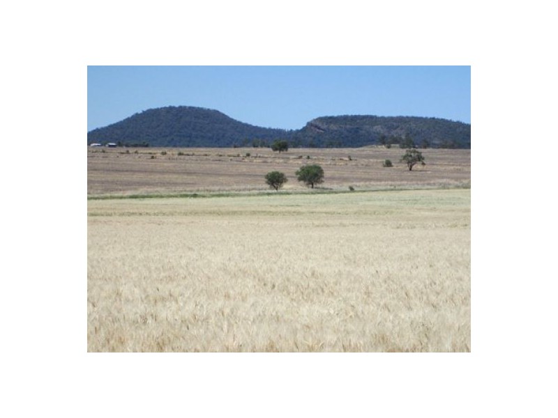 “Blue Poles”, Bellata NSW 2397