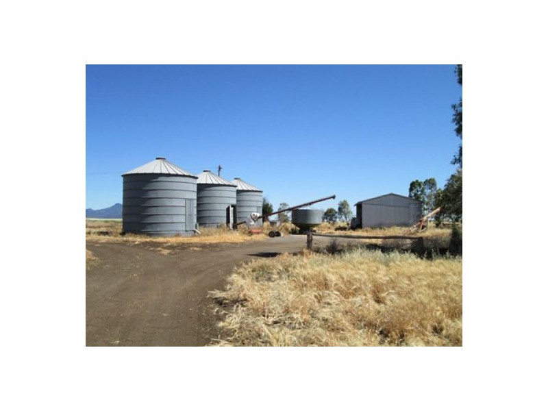 “Blue Poles”, Bellata NSW 2397