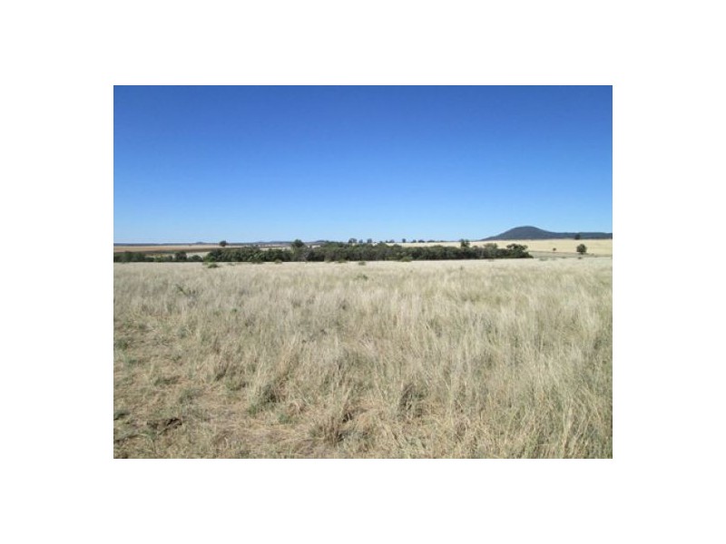 “Blue Poles”, Bellata NSW 2397