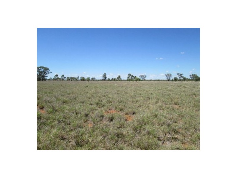 Moree NSW 2400