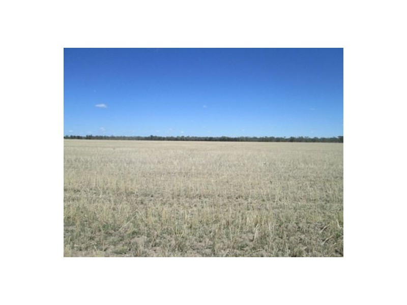 Moree NSW 2400