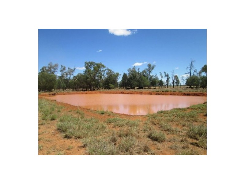 Moree NSW 2400