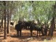 Moree NSW 2400