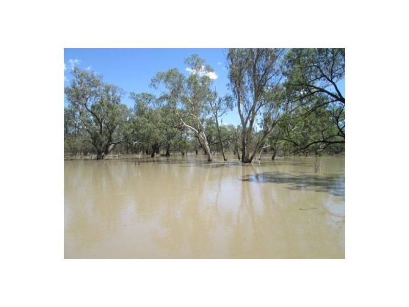 Moree NSW 2400